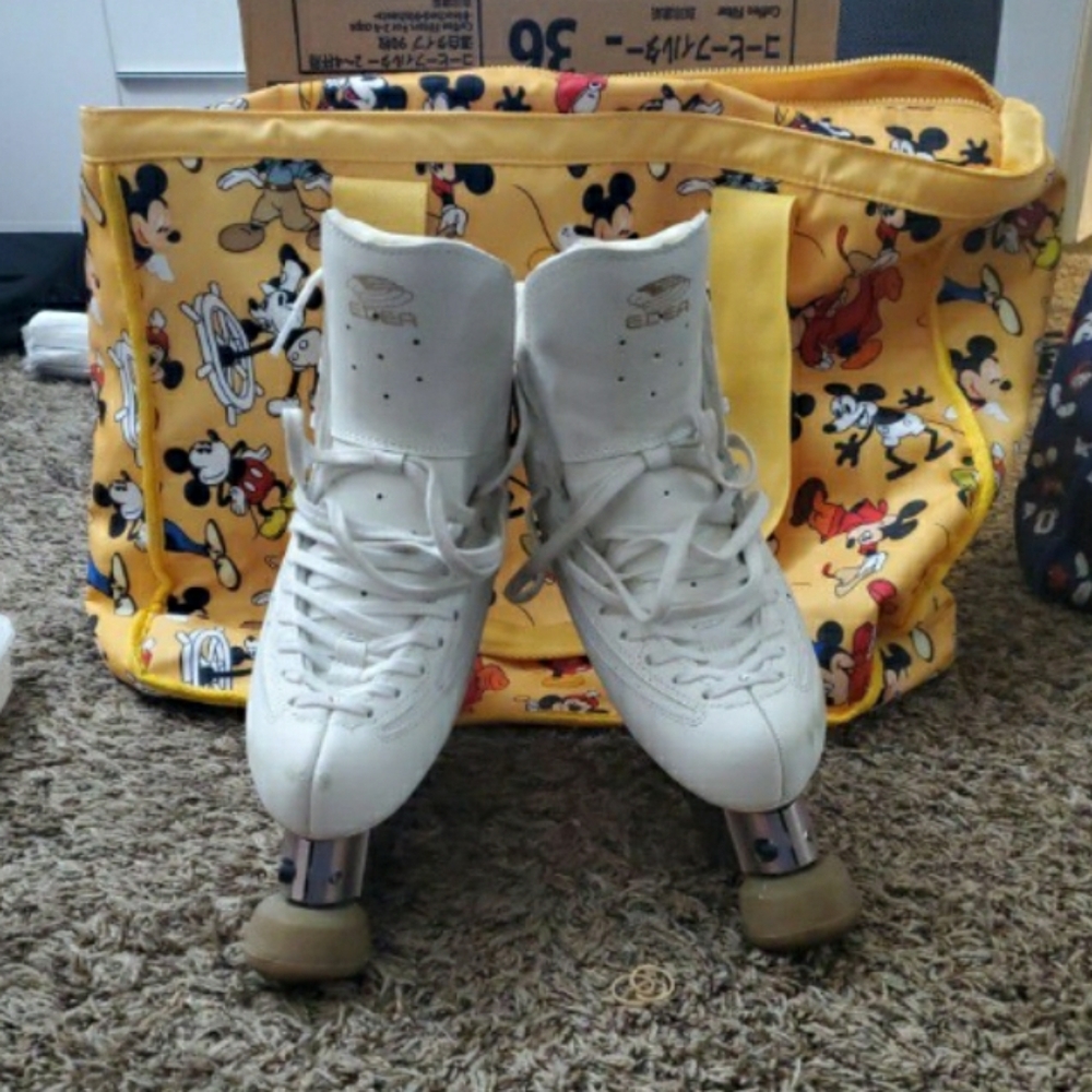 Edea Ice Fly with Linea Plates and wheels